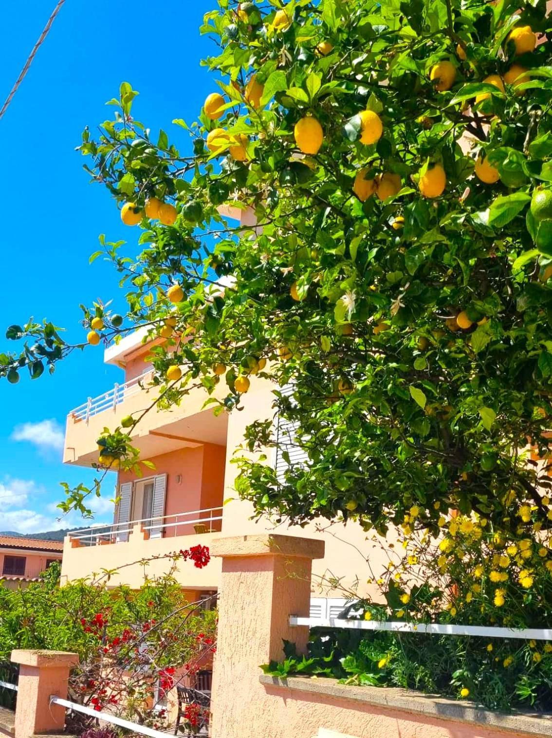 Casa Vacanze Mura Cala Gonone Exteriör bild